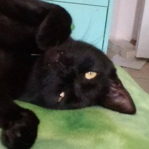 Meet your Posher, Cyndy